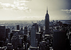 Integer non turpis et sapien